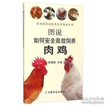 图说如何安全高效饲养肉鸡