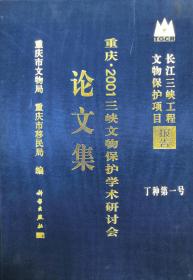 重庆·2001三峡文物保护研究学术研讨会论文集（长江三峡文物保护工程系项目报告·丁种第一号）【硬精装 正版图书 现货寄送】222五