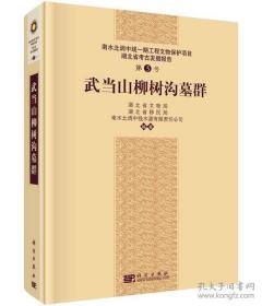 南水北调中线一期工程文物保护项目 湖北省考古发掘报告：武当山柳树沟墓群【硬精装未拆封 正版现货寄送】111