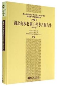 湖北南水北调工程考古报告集（第四卷）第4卷【硬精装未拆封 正版现货寄送】111