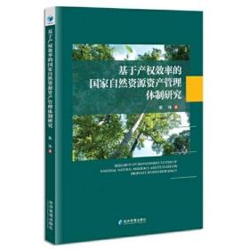 基于产权效率的国家自然资源资产管理体制研究