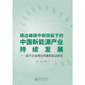 碳达峰碳中和目标下的中国新能源产业持续发展--基于企业成长视角的实证研究