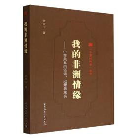 我的非洲情缘：中非关系的话语、政策与现实