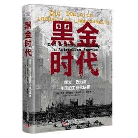 黑金时代:煤炭、政治与美国的工业化抉择（精装）