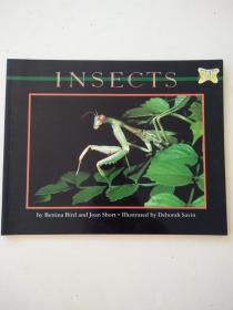 Insects (Mondo Animals)
