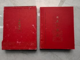 五粮液志（壳子品弱、内页全品、书籍外壳有点掉红会粘手、抹一下应该可以解决、有疑问请沟通后下单）