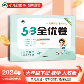 53天天练同步试卷 53全优卷 小学数学 六年级下册 RJ 人教版 2024春季