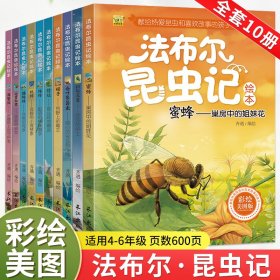 法布尔昆虫记礼盒装全套10册彩绘美图版科普百科3-12岁儿童绘本读物小学生一二三四五六年级课外读物畅销书幼儿版科普百科