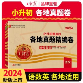 2024小升初重点校各地真题精编卷·语文