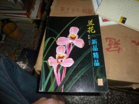 兰花新品精品