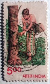 【印度邮票】1980年《割橡胶少女》1信销