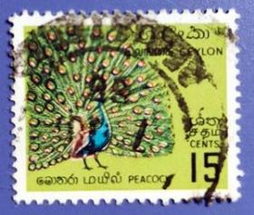 【斯里兰卡邮票】1964年《蓝孔雀》1全信销
