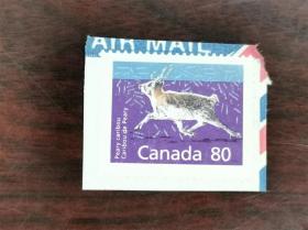 【外国邮票】加拿大邮票-1990年哺乳动物散票（3-3）佩里驯鹿 上品漏销票 少见高值筋票 加拿大航空封剪片