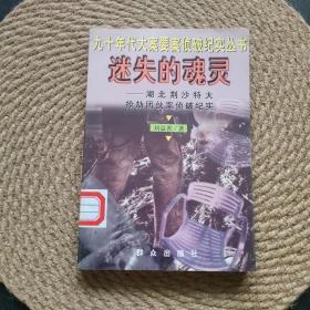 迷失的魂灵--湖北荆沙特大抢劫团伙案侦破纪实