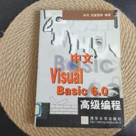 中文 Visual Basic 6.0 高级编程