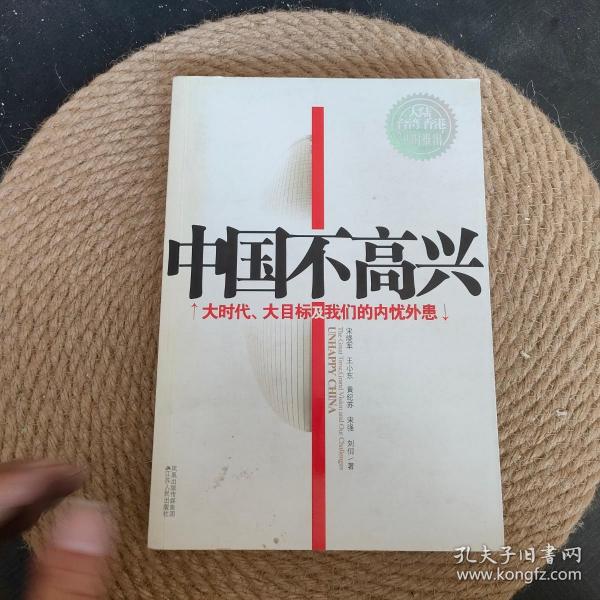 中国不高兴：大时代大目标及我们的内忧外患