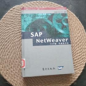 SAP NetWeaver SAP 新一代业务平台