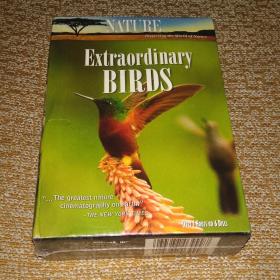 【欧】环球地理杂志自然科学纪录 Nature: Extraordinary Birds 大自然系列：神奇的鸟 6dvd 原版套装未拆封