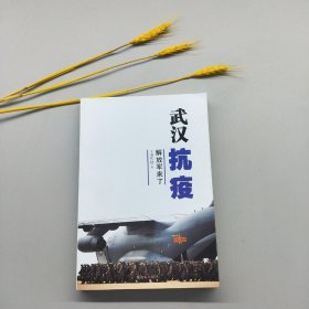 武汉抗疫：解放军来了