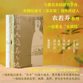 陪你去看苏东坡