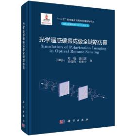 光学遥感偏振成像全链路仿真、