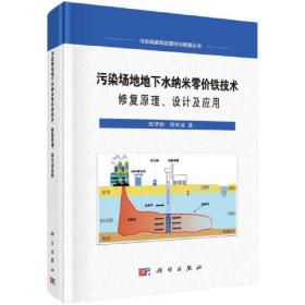 污染场地地下水纳米零价铁技术：修复原理、设计及应用