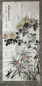 手绘真迹国画：天津美协会员张蕙玲《秋海篱根始见花》四尺