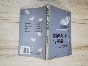 知识分子与革命