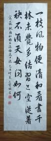 手書真跡書法：王寶明行書蘇軾《再和楊公濟(jì)梅花十絕》