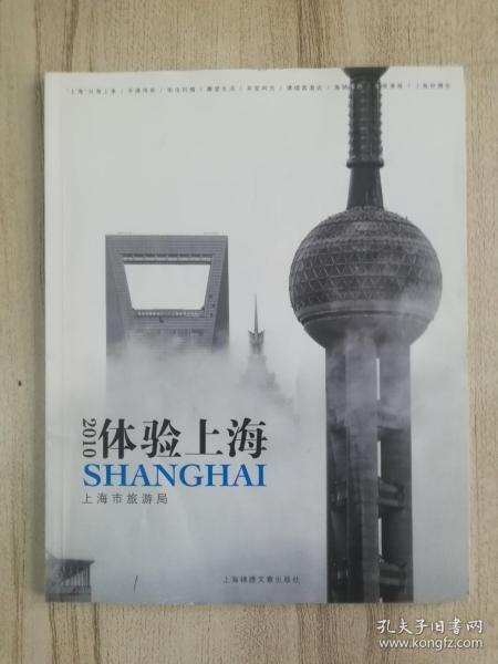 2010体验上海