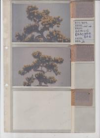 1998年北京中山公园花展5吋彩照26张含底片