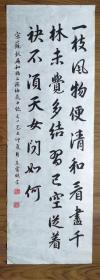 手書真跡書法：王寶明行書蘇軾《再和楊公濟(jì)梅花十絕·其一》