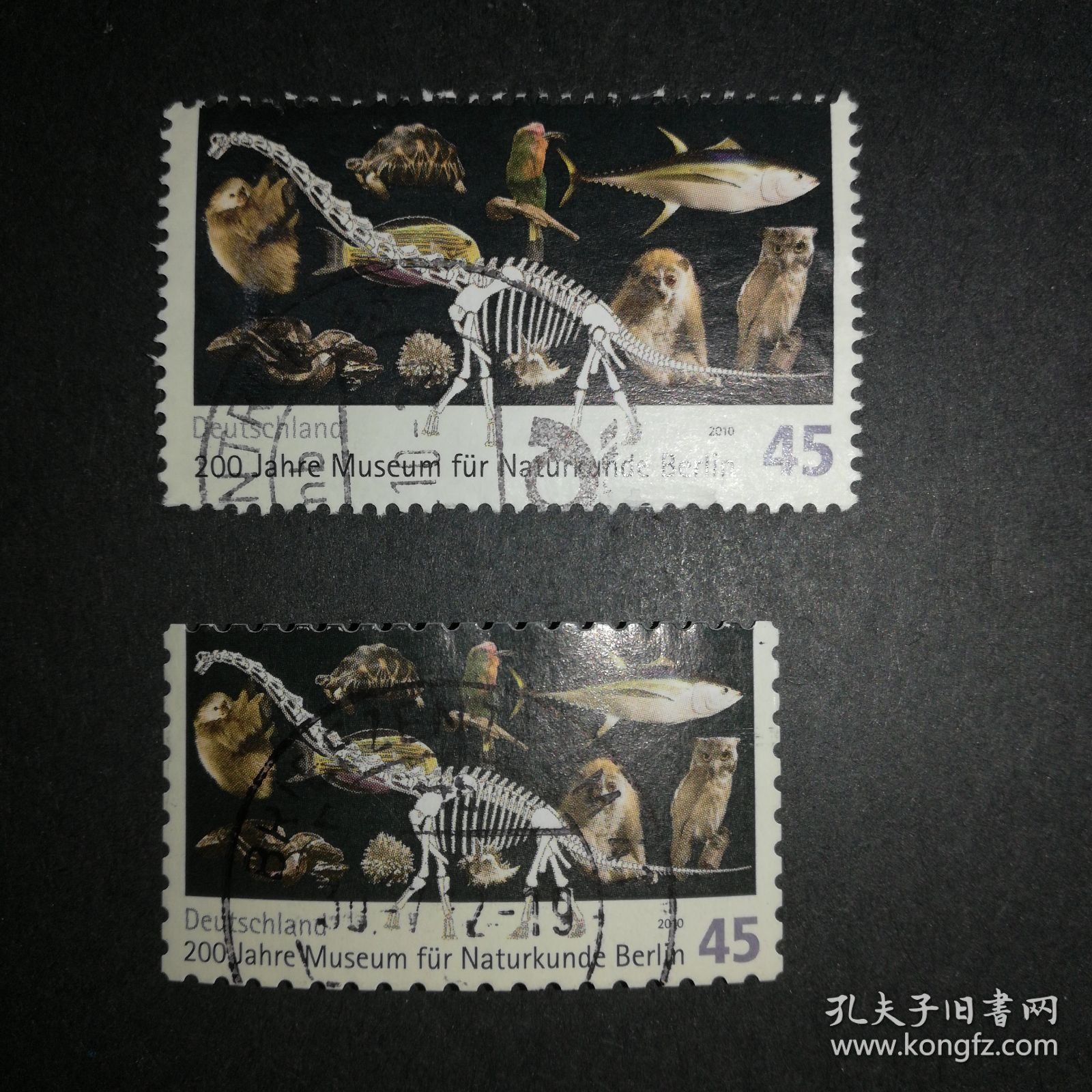 德国邮票（博物馆）2010年 自然历史博物馆200周年-柏林 2张大小不一的同一种邮票 同票异幅