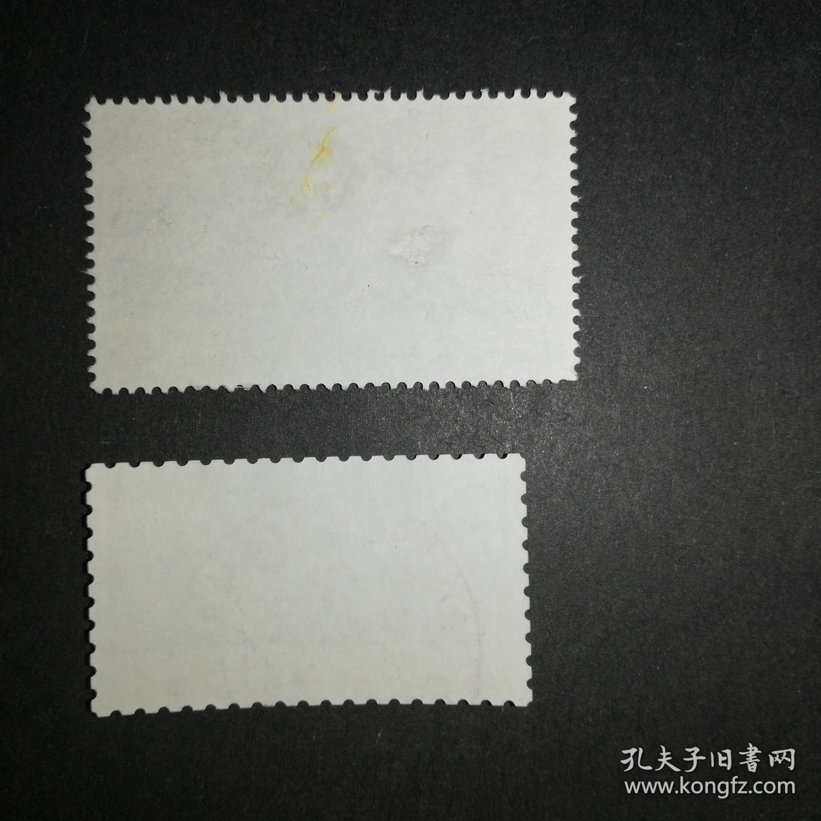 德国邮票（博物馆）2010年 自然历史博物馆200周年-柏林 2张大小不一的同一种邮票 同票异幅