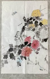手绘真迹国画：无款20250606-05 菊花