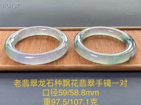 30_老翡翠龙石种飘花翡翠手镯一对
口径59/58.8mm
重97.5/107.1克