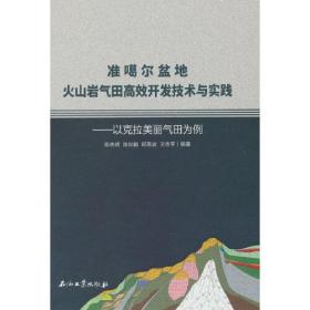 准噶尔盆地火山岩气田高效开发技术与实践.以克拉美丽气田为例