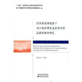 空间异质性视角下长江经济带生态效率评价及提升路径研究