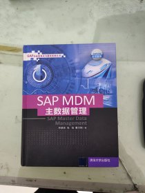 SAP MDM 主数据管理