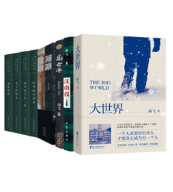 海飞作品（全9册）大世界+江南役+昆仑海+薄冰+往事纷至沓来+老子的地盘+赵邦和马在一起+遍地姻缘