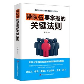 带队伍要掌握的关键法则  企业管理书籍成功励志人力资源 行政管