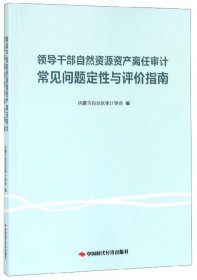 领导干部自然资源资产离任审计常见问题定性与评价指南