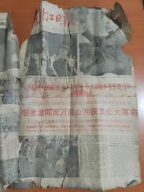 黑龙江日报1966年8月19日