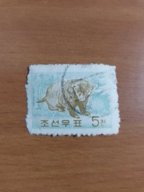 朝鲜 1962 邮票 熊