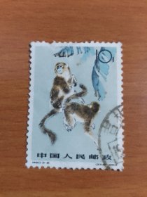 特60《金丝猴》盖销散邮票3-2