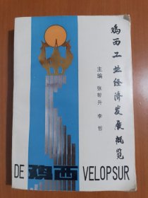 鸡西工业经济发展概览