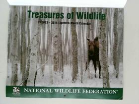 TREASURES OF WILDLIFE  2013-2014 eighteen month calendar 十八个月日历野生动物的宝藏 NATION WILDLIFE FEDERATION