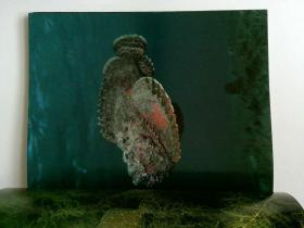 Underwater Wonderland 龙宫 伊藤腾敏  写真集  日本カメラ别册