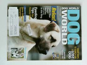 DOG WORLD 2010/11 宠物世界  犬世界  宠物杂志 狗狗杂志 外文原版杂志