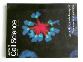 Journal of Cell Science 2004/04/01 细胞科学 细胞生物学原版外文杂志期刊